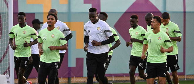 Senegalese players no longer have the right to make a mistake.  Facing host nation Qatar in a competition where all hierarchies are upset, the Lions of Teranga must do whatever it takes to restore their chances of reaching the round of 16.