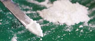 Une saisie de cocaïne en février 2022 dans le port de Hambourg, en Allemagne. 
