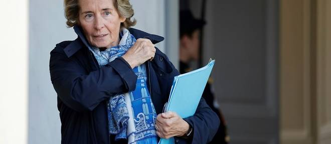 Declaration de patrimoine contestee: Caroline Cayeux quitte le gouvernement