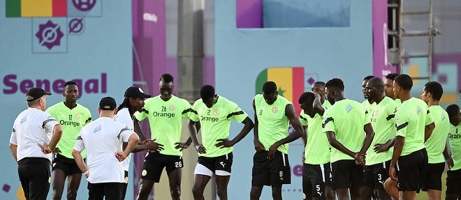 Alors que le Senegal a ete sacre champion d'Afrique la saison derniere, une qualification pour le tableau final validerait par ailleurs les progres des Lions sur la scene internationale.
