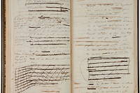 Le manuscrit « Novembre » a été écrit d'un jet, mais des ratures ont été ajoutées par Flaubert en relecture.
