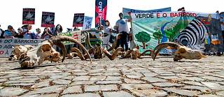  « Não a mina » (« Non à la mine ») : les habitants des villages du nord du Portugal manifestent régulièrement contre l’exploitation des mines de lithium, comme ici, à Lisbonne, en mai 2021. 