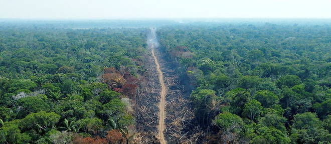 A Humaita, en Amazonie au Bresil, en septembre 2022.  
