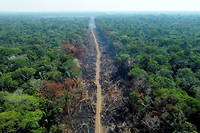 À Humaitá, en Amazonie au Brésil, en septembre 2022.  
