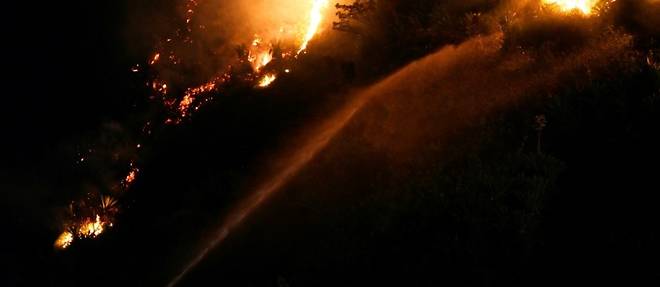 Bresil: incendie de foret dans le quartier touristique de Copacabana a Rio de Janeiro