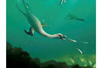 Une nouvelle esp&egrave;ce de&nbsp;dinosaure semi-aquatique d&eacute;couverte
