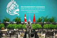 Un pacte mondial pour sauver la biodiversité est en négociations à la COP15, qui s'est ouverte le 8 décembre à Montréal, sous présidence chinoise.  
