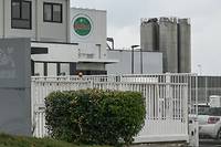 Pizzas contamin&eacute;es: reprise de la production &agrave; l'usine Buitoni de Caudry