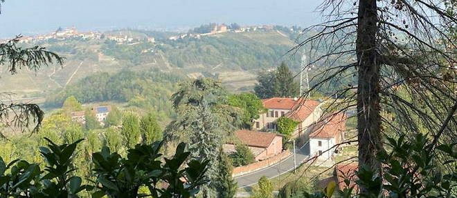 Vignoble du domaine de Cascina Cappelle, dans le Piemont italien.
