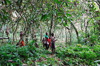 Membres de la communaute Baka, dans le parc naturel de Messok Dja, au Cameroun.
