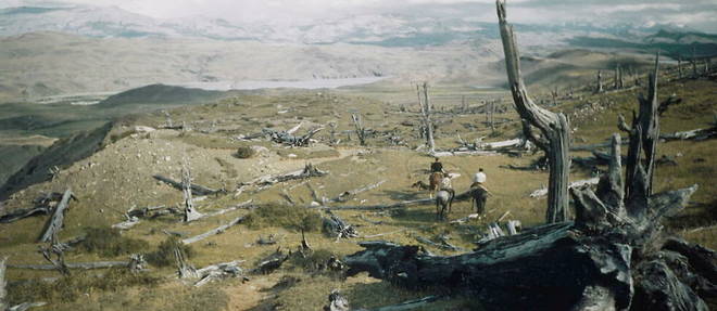 Paysage de Patagonie, par Gisele Freund photographiant ces Bois petrifies, en 1943.
