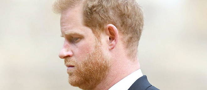 The publication of Prince Harry's book, The Substitute, shakes up the British royal family.
