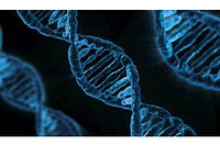 L'ADN, comme un grand livre, ne cesse de nous dévoiler des informations précieuses sur notre hérédité.
