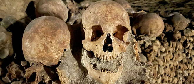 Entre 1786 et jusque dans les annees 1960, plus de cinq millions de defunts ont ete transferes dans les catacombes.
