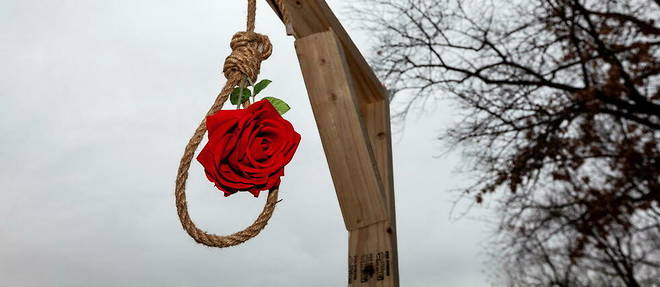 Une rose a la memoire de Mohsen Shekari, un manifestant de 23 ans, execute le 8 decembre 2022 par la Republique islamique d'Iran. 
