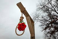 Une rose à la mémoire de Mohsen Shekari, un manifestant de 23 ans, exécuté le 8 décembre 2022 par la République islamique d'Iran. 
