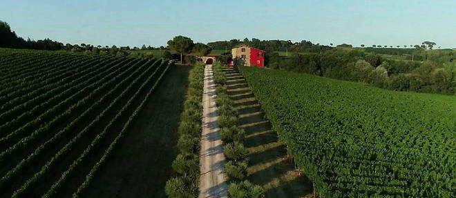 Le domaine Terre Margaritelli, en Ombrie, porte une attention particuliere aux contenants d'elevage du vin
