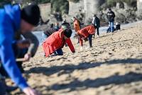 Manifestation sur une plage de Loire-Atlantique contre la pollution aux billes de plastique