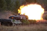 L'Ukraine presse les Occidentaux de livrer au plus t&ocirc;t leurs chars lourds