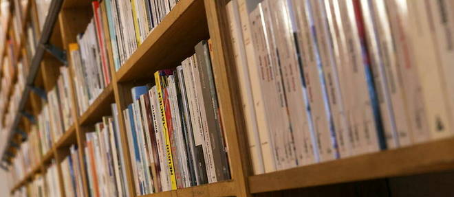 Plus de 15% des livres vendus en France en 2022 étaient des mangas.