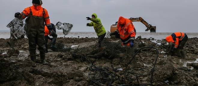 Charente-Maritime: nettoyer les parcs a huitres pour reduire la pollution plastique