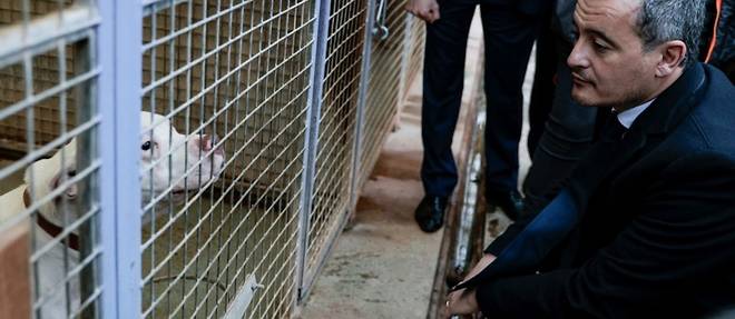 Maltraitance animale: 4.000 referents policiers et gendarmes seront formes