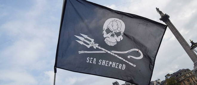 Le logo de Sea Shepherd, connu a travers la planete, risque de se retrouver au coeur d'une bataille judiciaire. 