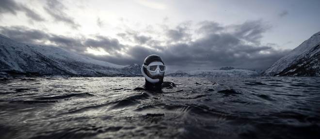 Dans les eaux glacees de Norvege, l'apneiste Guerin-Boeri danse avec les orques