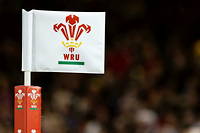 La Fédération galloise de rugby a confirmé mercredi l’interdiction de la chanson « Delilah » dans les tribunes du Millenium Stadium de Cardiff. (Photo d'illustration).
