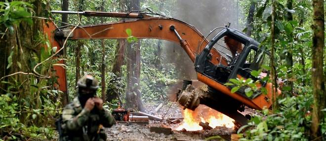 Les mines d'or illegales de la jungle colombienne dans le viseur des forces armees