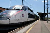Menace d&rsquo;attentat&nbsp;: un TGV&nbsp;Colmar-Paris immobilis&eacute;