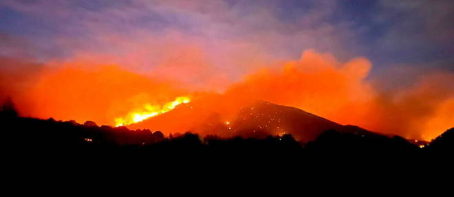 L'incendie a deja parcouru 110 hectares dans les Alpilles.
