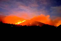 L'incendie a déjà parcouru 110 hectares dans les Alpilles.
