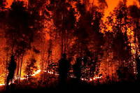 Chili&nbsp;: les feux de for&ecirc;t&nbsp;continuent de faire rage, au moins 24 morts