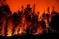 Les feux ont devaste quelque 270 000 hectares et detruit 1 081 habitations en cinq jours.
