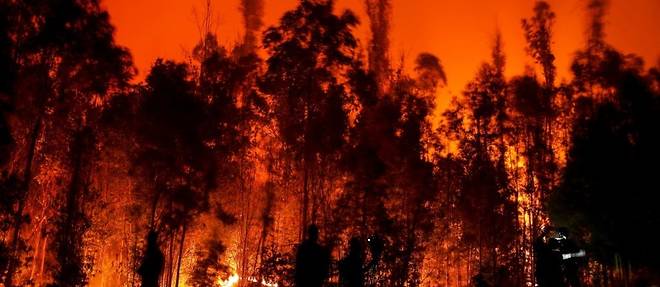 "C'etait l'enfer", temoigne une habitante d'une region chilienne ravagee par les incendies