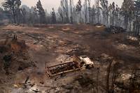 Chili: 24 morts dans des immenses feux de for&ecirc;t, plus de 1.100 bless&eacute;s