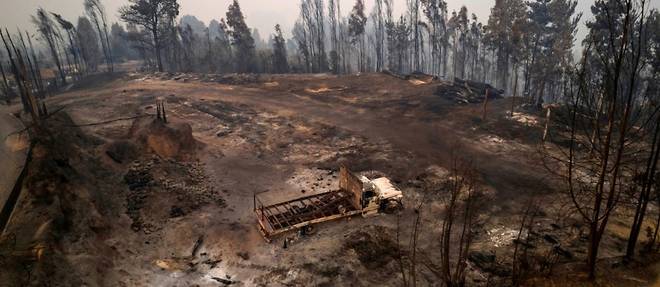 Chili: 24 morts dans des immenses feux de foret, plus de 1.100 blesses