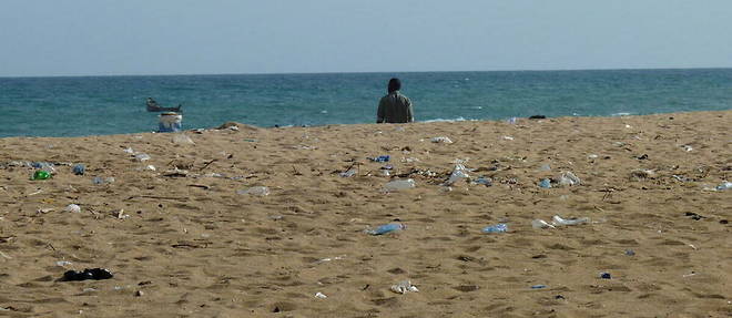 Le probleme majeur du plastique a usage unique est qu'il est aujourd'hui tres peu recycle et finit sur les plages et dans les oceans. 
