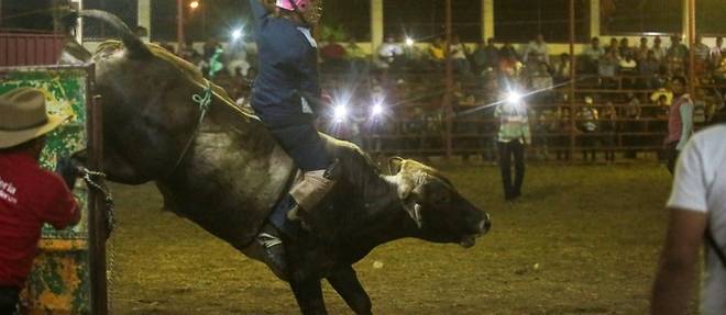 Au Nicaragua, des femmes defient le machisme en faisant du rodeo sur des taureaux
