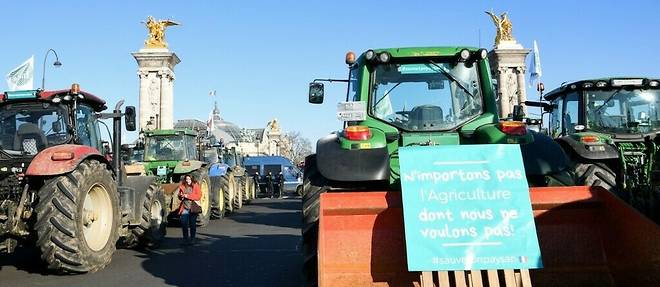 Des centaines de tracteurs d'agriculteurs ont converge vers la capitale, mercredi matin, pour manifester contre les << contraintes >> pesant sur leur secteur.
