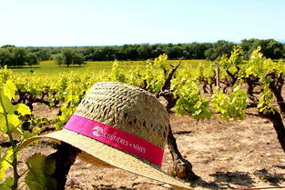 Les Vignes toquees, du 12 au 14 mai prochain : balade dans le vignoble des costieres-de-Nimes et decouverte de la gastronomie locale en accord avec les vins de l&#039;appellation.
