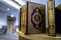 Pour l'islamologue Remi Brague, le concept d'<< islam des Lumieres >> n'est qu'une fable (photo d'illustration).
