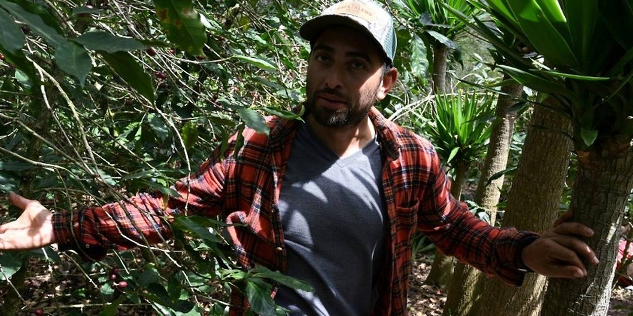 Amérique centrale l'exode migratoire entraîne une pénurie de maind