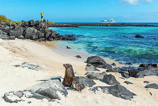 L&#039;ile Espanola, merveille des Galapagos.
