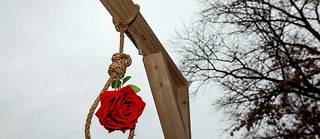 Une rose orne une potence en hommage a Mohsen Shekari, jeune homme de 23 ans execute le 8 decembre pour avoir participe a la vague de soulevement populaire qui balaie le pays.
