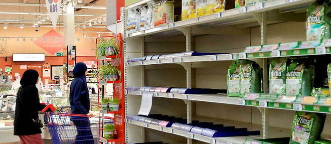 Les rayons de croquettes pour animaux se vident dans les supermarches ou les magasins specialises. 
