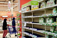 Les rayons de croquettes pour animaux se vident dans les supermarches ou les magasins specialises.
