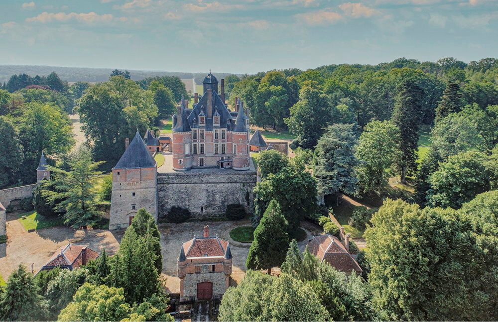 Montmort (Champagne). Forteresse medievale remaniee a la Renaissance, classee MH, 29 ha, vendue 3 MEUR.
Montmort (Champagne). Forteresse medievale remaniee a la Renaissance, classee MH, 29 ha, vendue 3 MEUR.