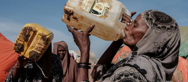 La secheresse en Somalie pourrait provoquer 135 morts par jour, selon une etude